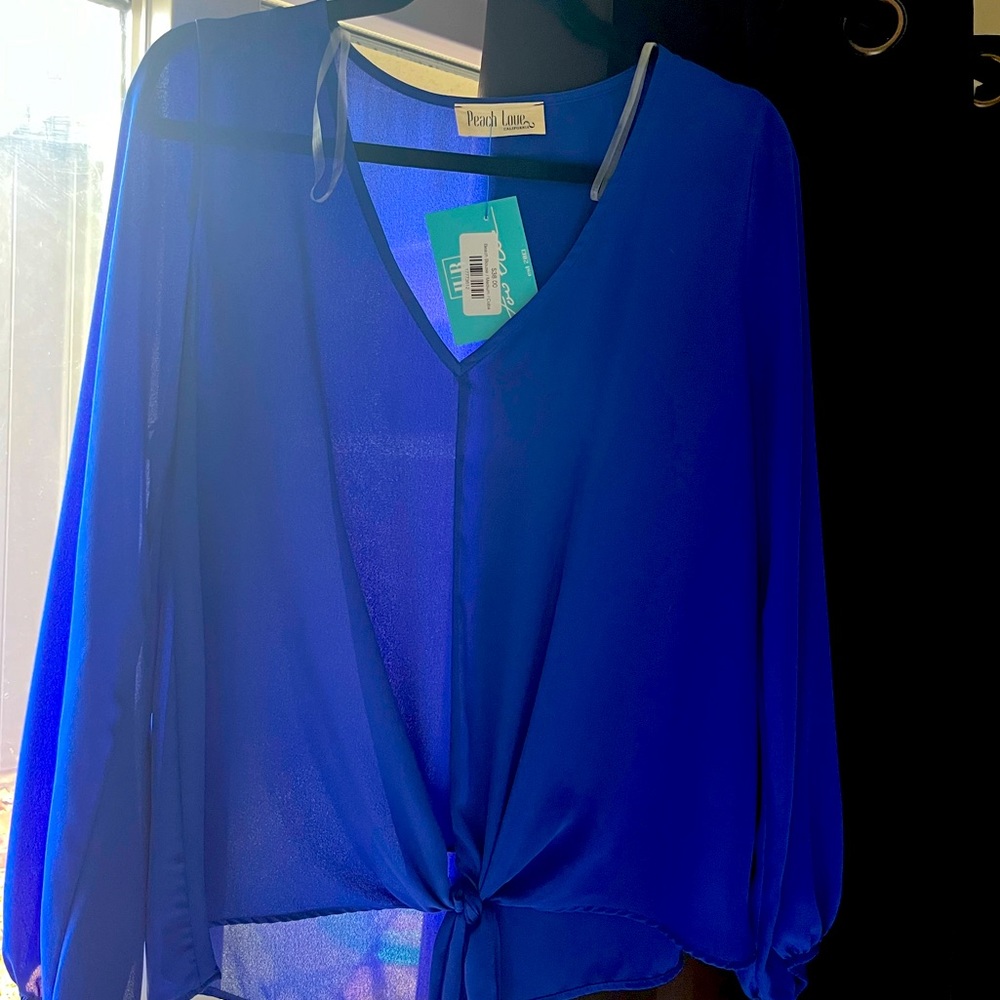 Blue sheer blouse